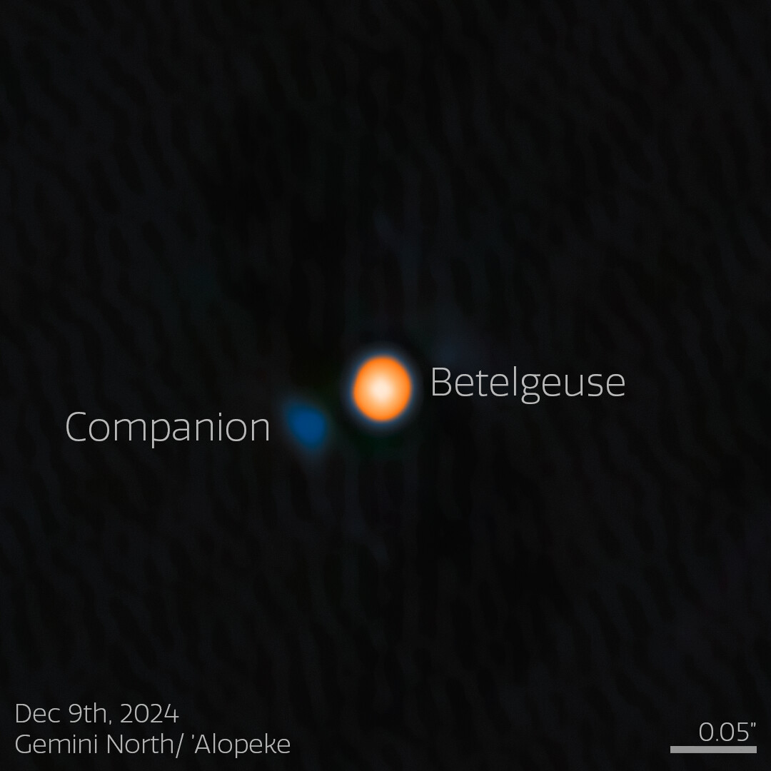 Image du communiqué de presse de NOIRlab révélant le compagnon de Betelgeuse, alpha Ori B. https://noirlab.edu/public/news/noirlab2523/
On voit la supergeante rouge au centre (un disque orange déformé vers le compagnon) et le compagnon à côté (en bleu, à 1-2 rayons stellaire, au sud-est). Image du communiqué de presse de NOIRlab révélant le compagnon de Betelgeuse, alpha Ori B. https://noirlab.edu/public/news/noirlab2523/
On voit la supergeante rouge au centre (un disque orange déformé vers le compagnon) et le compagnon à côté (en bleu, à 1-2 rayons stellaire, au sud-est).
